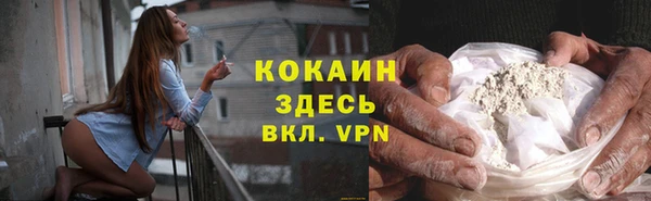 индика Алзамай