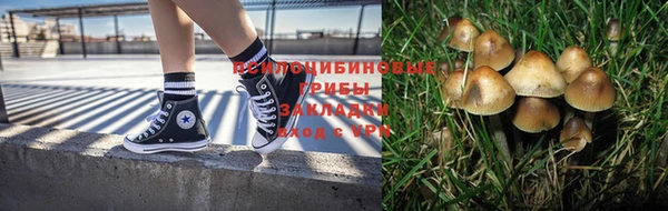 индика Алзамай