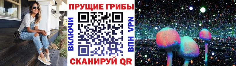 хочу наркоту  Боровск  Галлюциногенные грибы GOLDEN TEACHER 