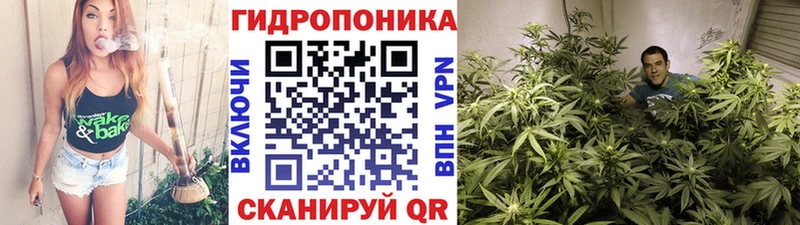 продажа наркотиков  Боровск  Бошки Шишки AK-47 